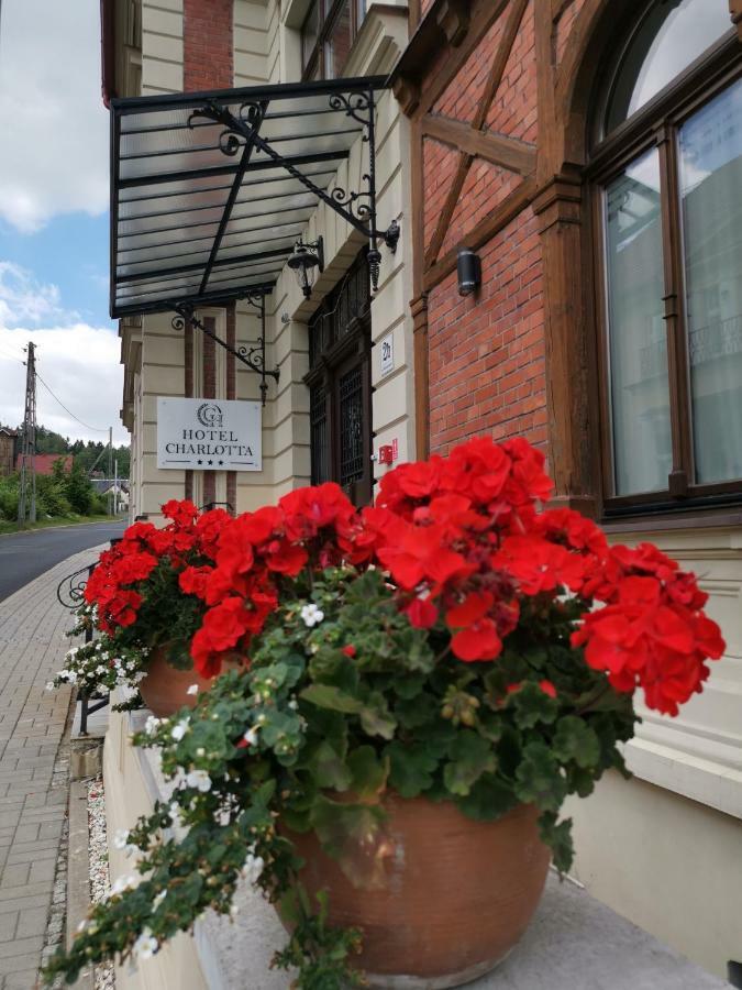 Hotel Charlotta Jedlina-Zdroj Exterior foto